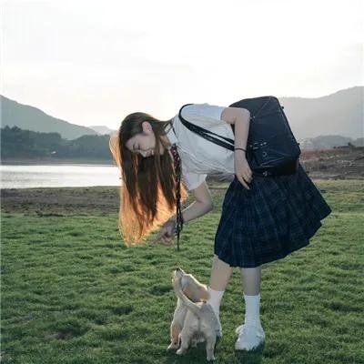 长颈鹿返学啦!